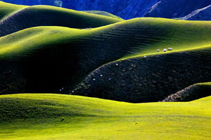 中国一番美しい六大草原 Arachina